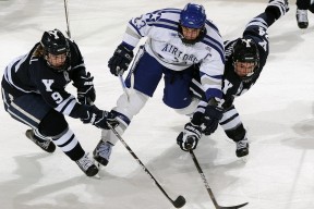 开云平台-西决生死战焦点战，山西队力克掘金，改写篮球版图的东方奇迹