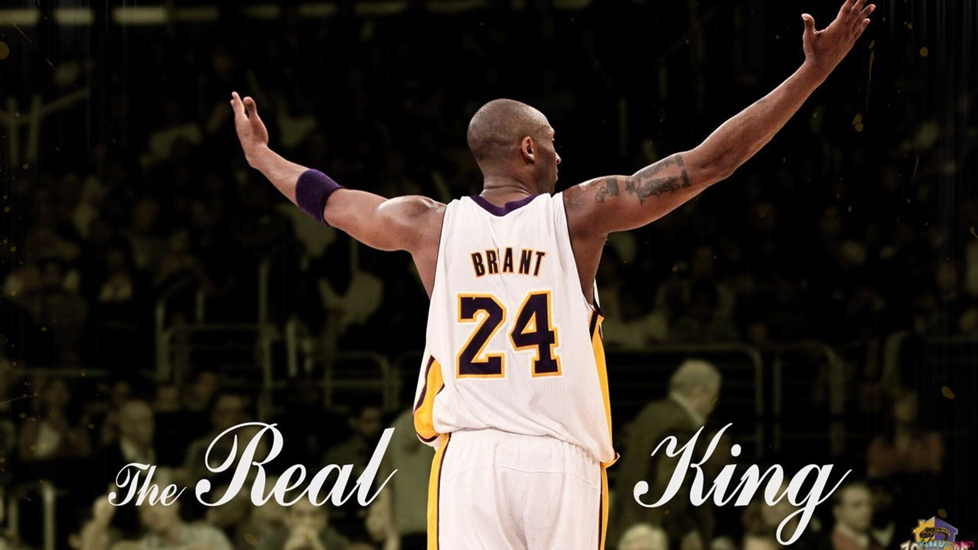 伦纳德式爆发,上海男篮的硬仗基因如何炼成?